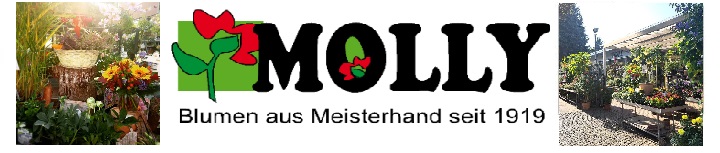 Blumen Molly - Berlin